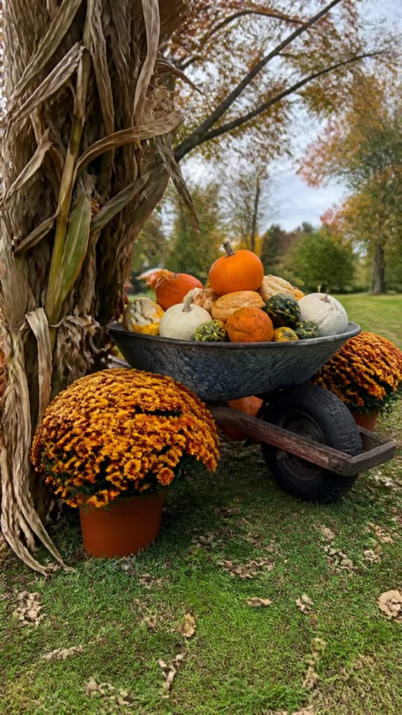 Wheelbarrow and Wagon Pumpkin Displays
