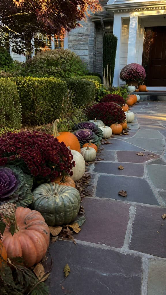 Pumpkin Pathway Paradise