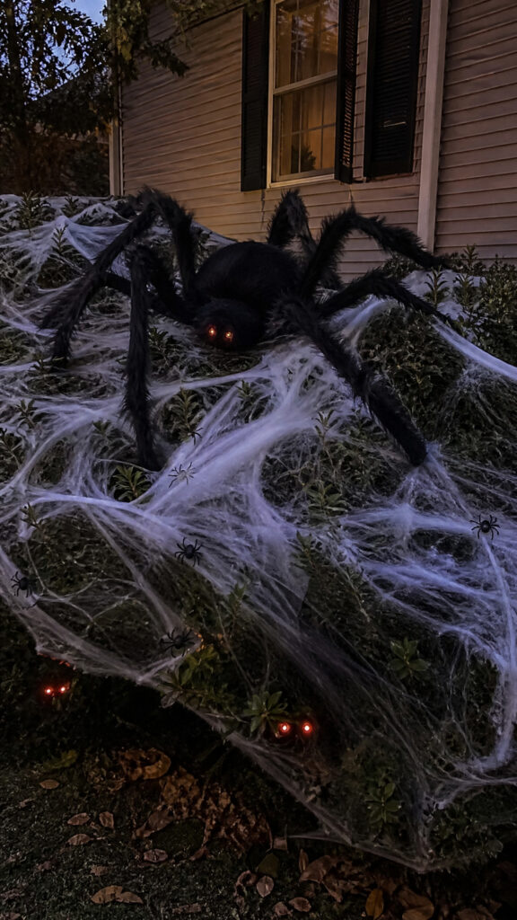 Creepy Crawly Spider Invasion