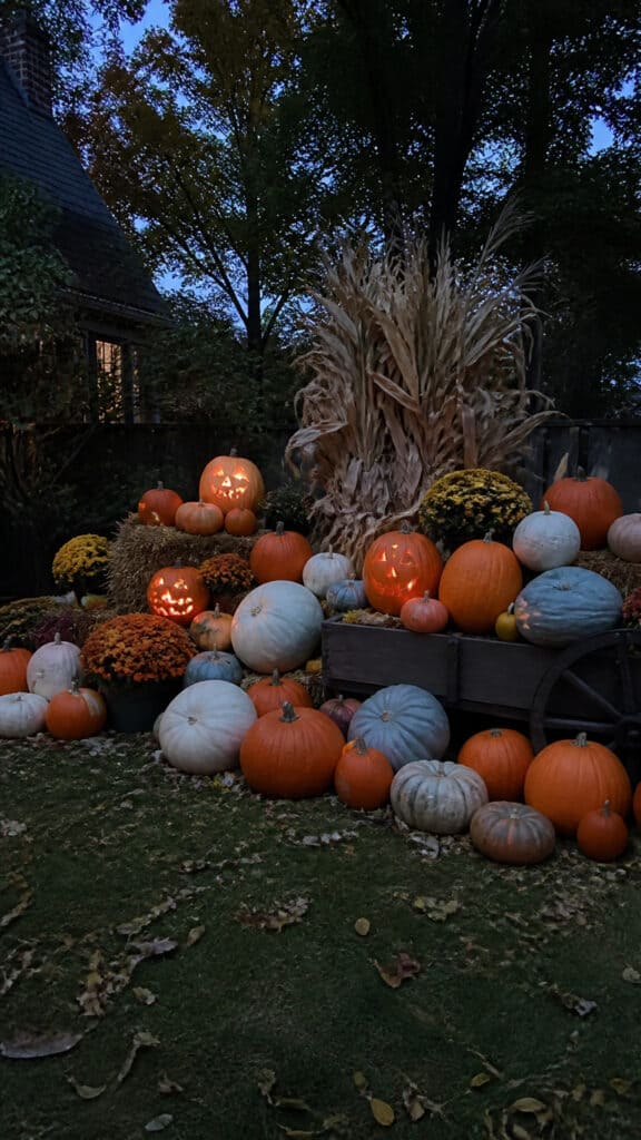 Pumpkin Patch Display