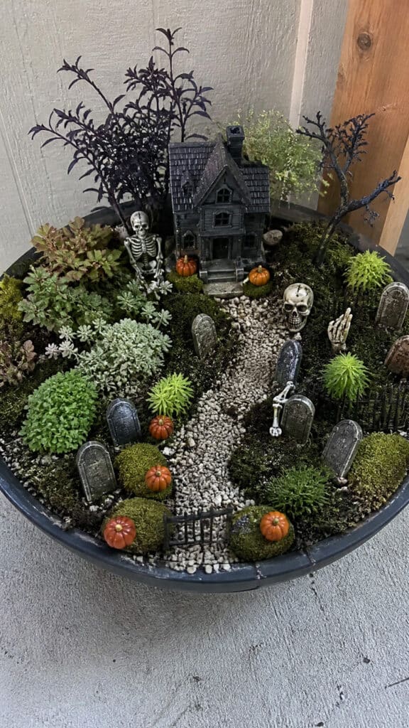 Haunted Fairy Garden