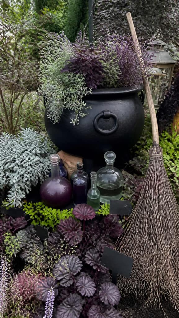 Witch's Potion Garden