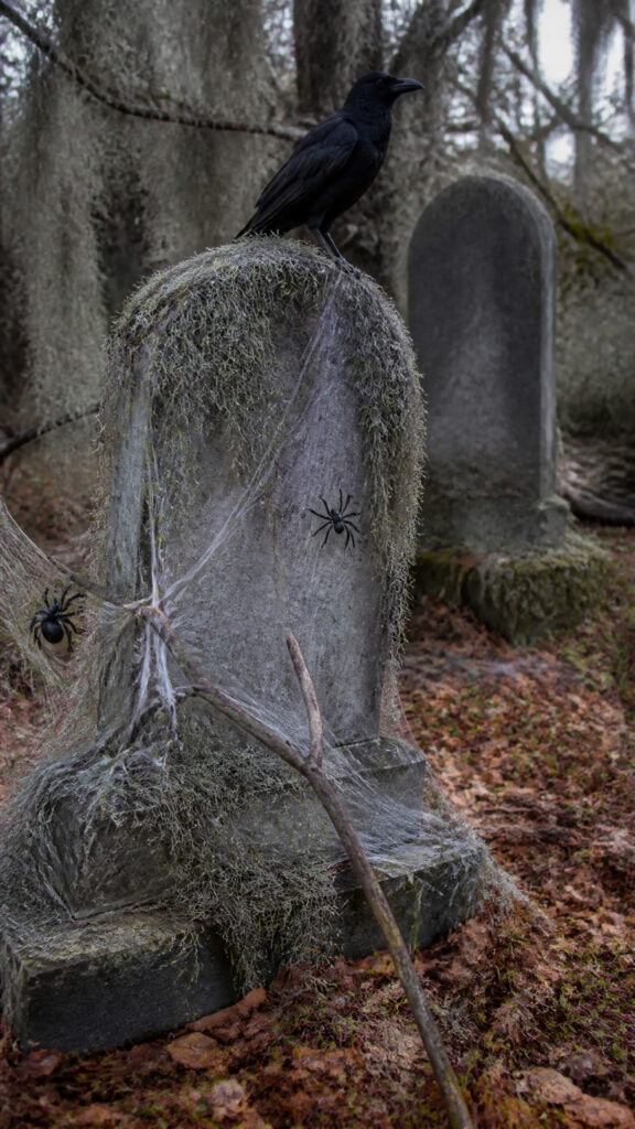 Hanging Moss and Decay Details