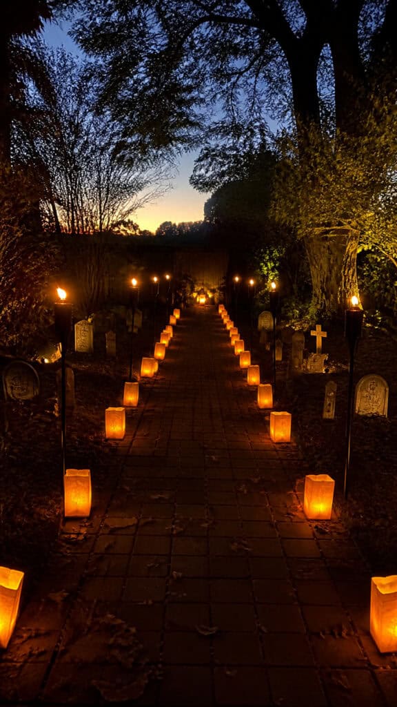Illuminated Pathway to the Graveyard