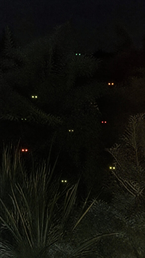 Glowing Eyes Hiding in Bushes