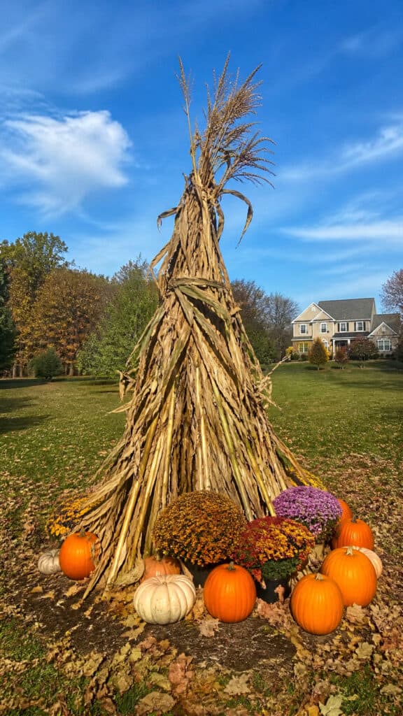 Construct a Massive Corn Stalk Teepee Structure