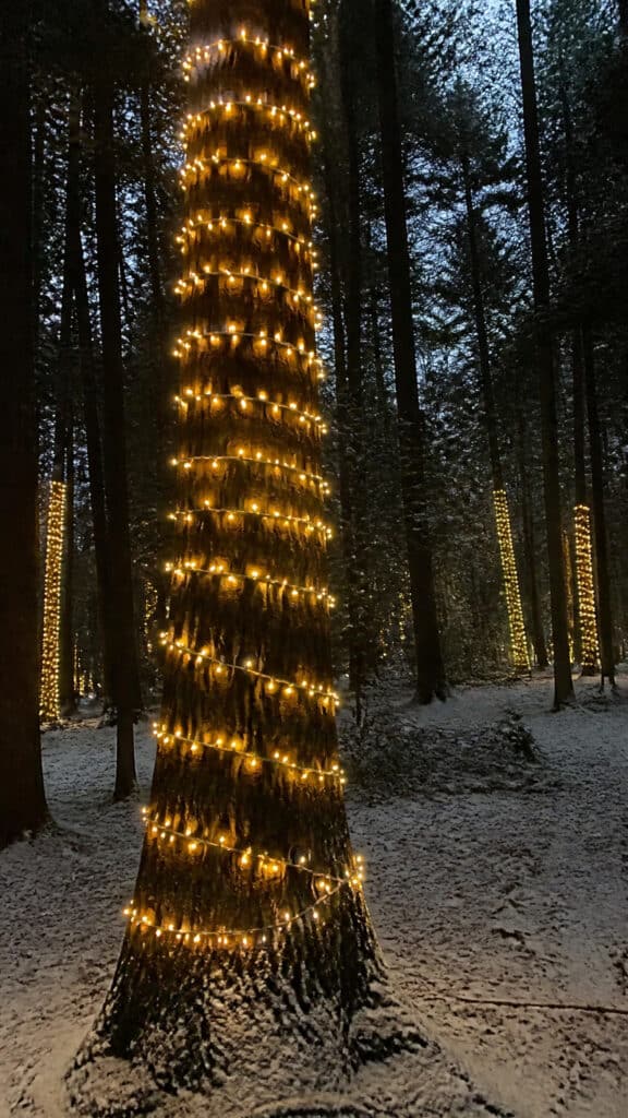 Wrapped Tree Trunks for Woodland Wonderland Vibes