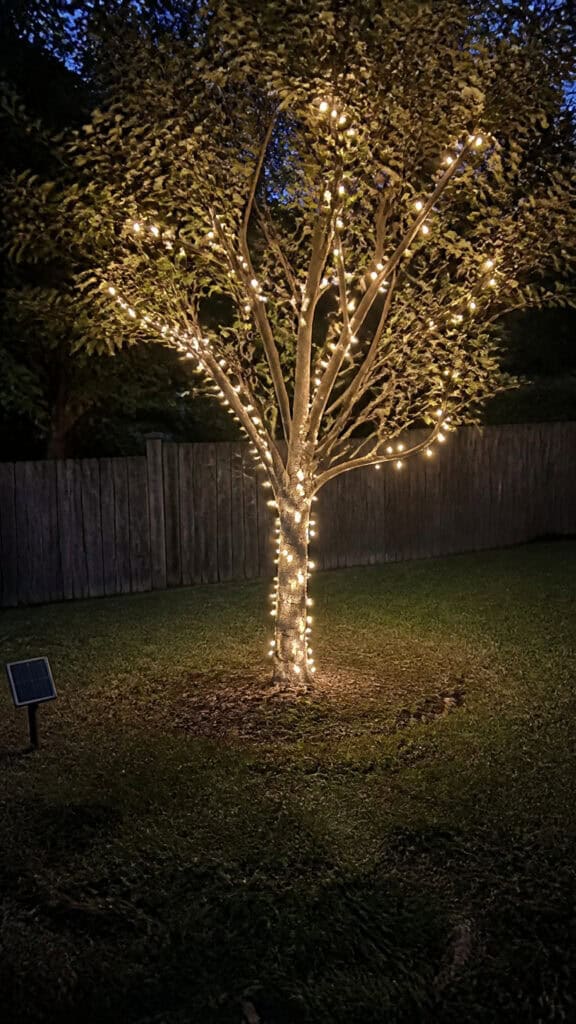 Solar-Powered Outdoor Tree Lights