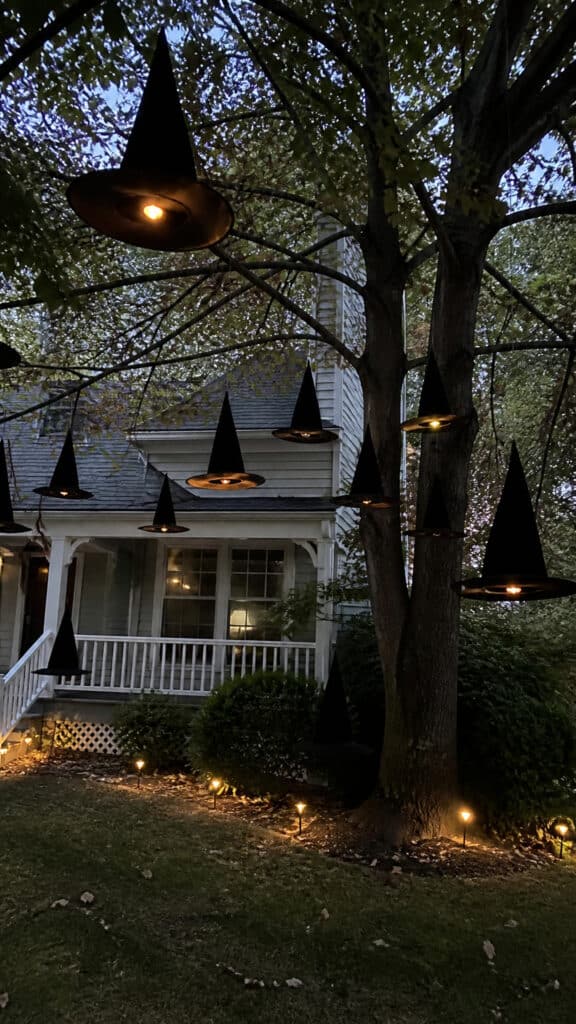Floating Witch Hats Above the Yard
