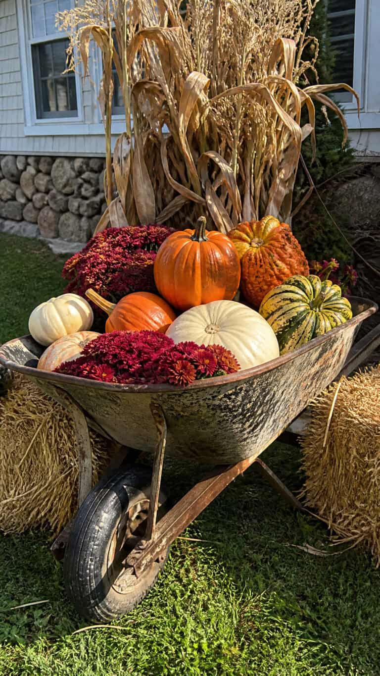 Vintage Wheelbarrows and Wagons Overflowing with Fall Bounty