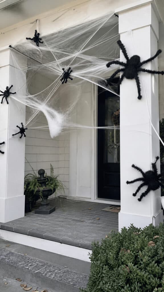 Creepy Crawly Spider Invasion