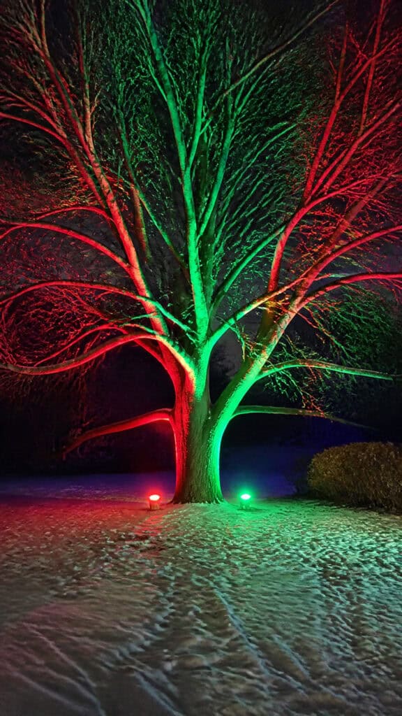 Ground Spotlights for Trees and House Features