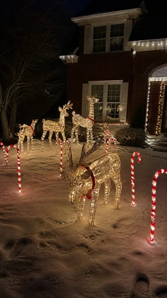 Lighted Yard Stakes and Figures