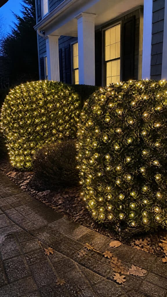 Net Lights for Bushes and Shrubs