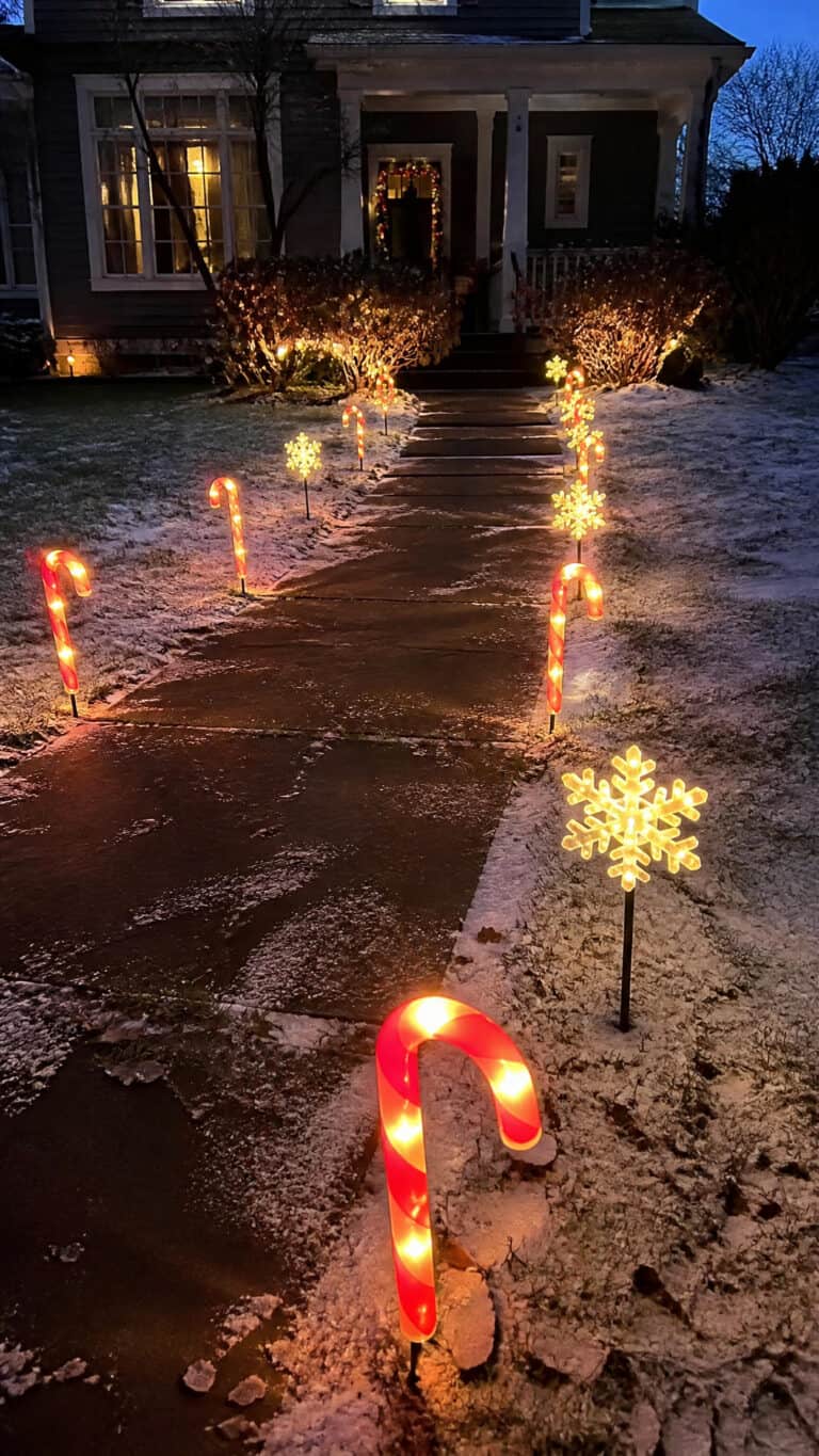 Pathway Stake Lights That Just Push Into the Ground