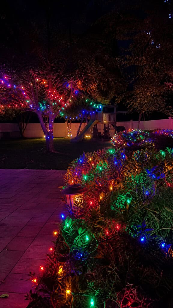 The Playful Joy of Multicolored Lights